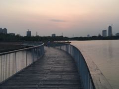 -海珠湖公园