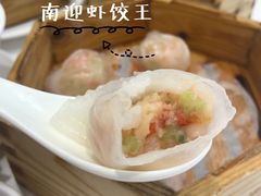 南迎虾饺王-南海迎宾馆·经典南海菜
