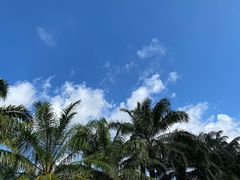 -三亚南山文化旅游区