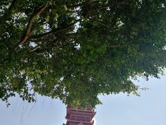 -仙人山公园