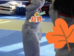 -金翼跆拳道巴西柔术拳击格斗学院