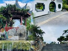 -东莞植物园