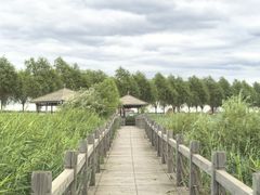-呼兰河口湿地公园