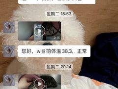 -特一安24小时宠物医院·骨科·中兽医
