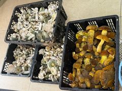 -双喜农庄·菌香园(安居家园店)