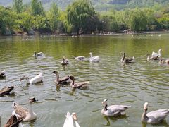 -西安秦岭野生动物园