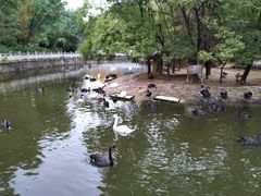 -黔灵山公园