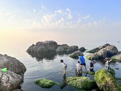 -养马岛旅游度假区