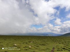 -芦芽山旅游度假区