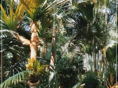 -国家植物园南园