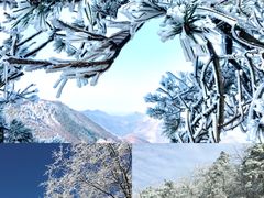 -四明山国家森林公园
