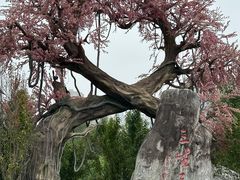 -昌州古城