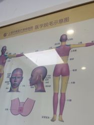 -上海华美医疗美容医院