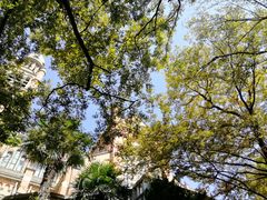 -上海佘山国家森林公园西佘山园