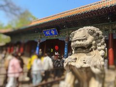 -晋祠公园