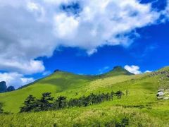-秦岭风景区