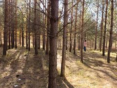 -塞罕坝国家级自然保护区