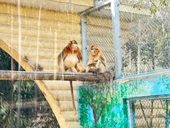 -西安秦岭野生动物园