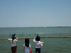 -上海滴水湖皇冠假日酒店