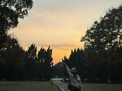 -南沙蒲洲花园