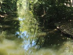 -上海滨江森林公园