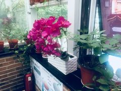 -金豆角砂锅焖面(安贞店)