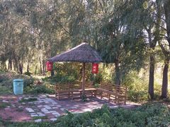 -白渔泡湿地公园