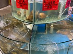 -四海蒸鲜蒸汽海鲜自助(北戴河店)