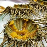 第一次敢大胆吃刺身，解锁了很多新美食