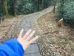 -西湖风景区十里琅珰-五云山