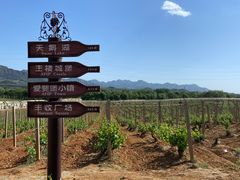 -北京张裕爱斐堡酒庄