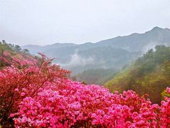 -木兰云雾山
