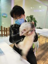 -Moni星球萌宠·小马宝莉·灵蛇·高端高阶全萌宠互动体验俱乐部(红豆国际广场店)