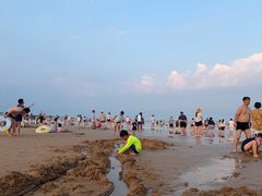 -日照海滨国家森林公园