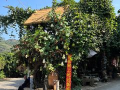 -广州市石门国家森林公园