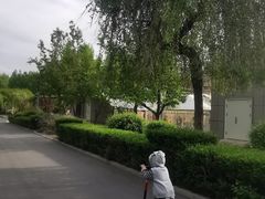 -长春公园(普阳街道)