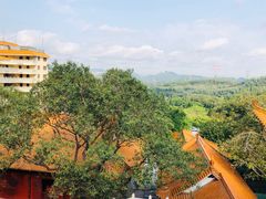 -深圳仙湖植物园