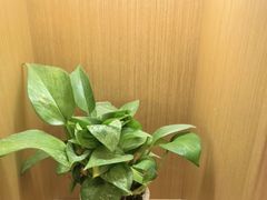 -速8酒店(北京角门东地铁站店)