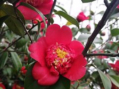 -艾溪湖湿地公园