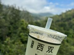 -野象谷景区