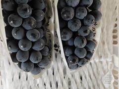 -马陆小张葡萄园农家乐