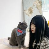 作为伴手礼再合适不过了～