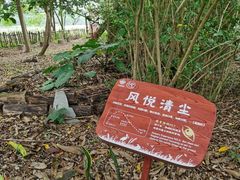 -华侨城湿地公园
