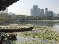 景点-洛龙公园