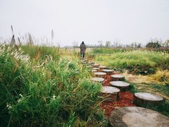 -汉长安城未央宫国家考古遗址公园