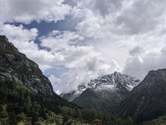 -金鼎雪山牦牛杂火锅(理县总店)