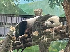 -黔灵山公园