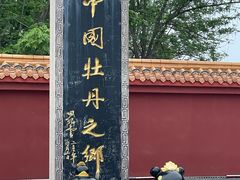 -曹州牡丹园