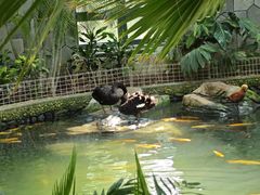 -南宫五洲植物乐园