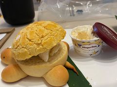 哈根达斯海龟菠萝包-蔡澜点心·粤菜(西单大悦城店)